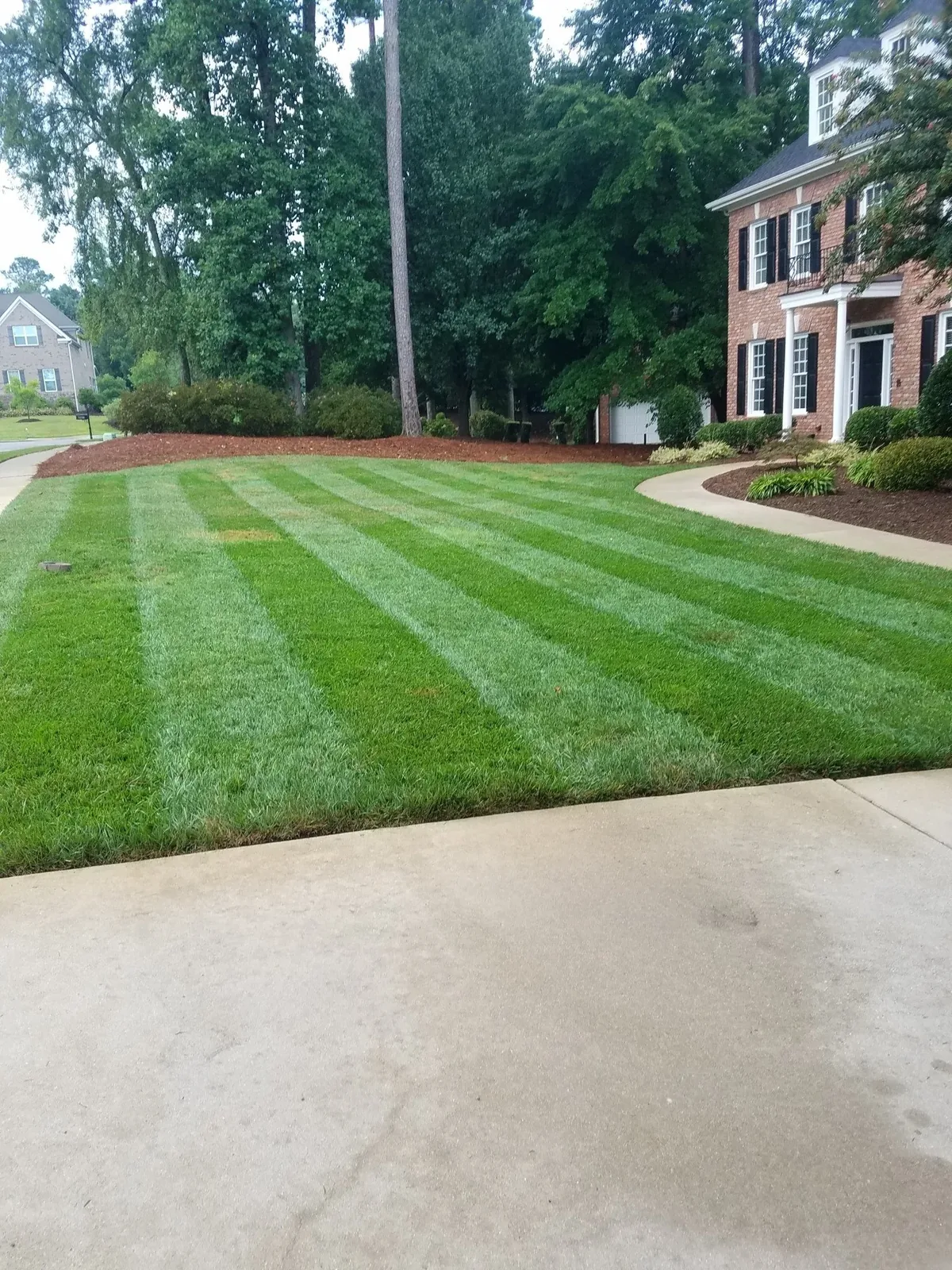 A Wake Pro-maintained front yard with crisp alternating mowing stripes