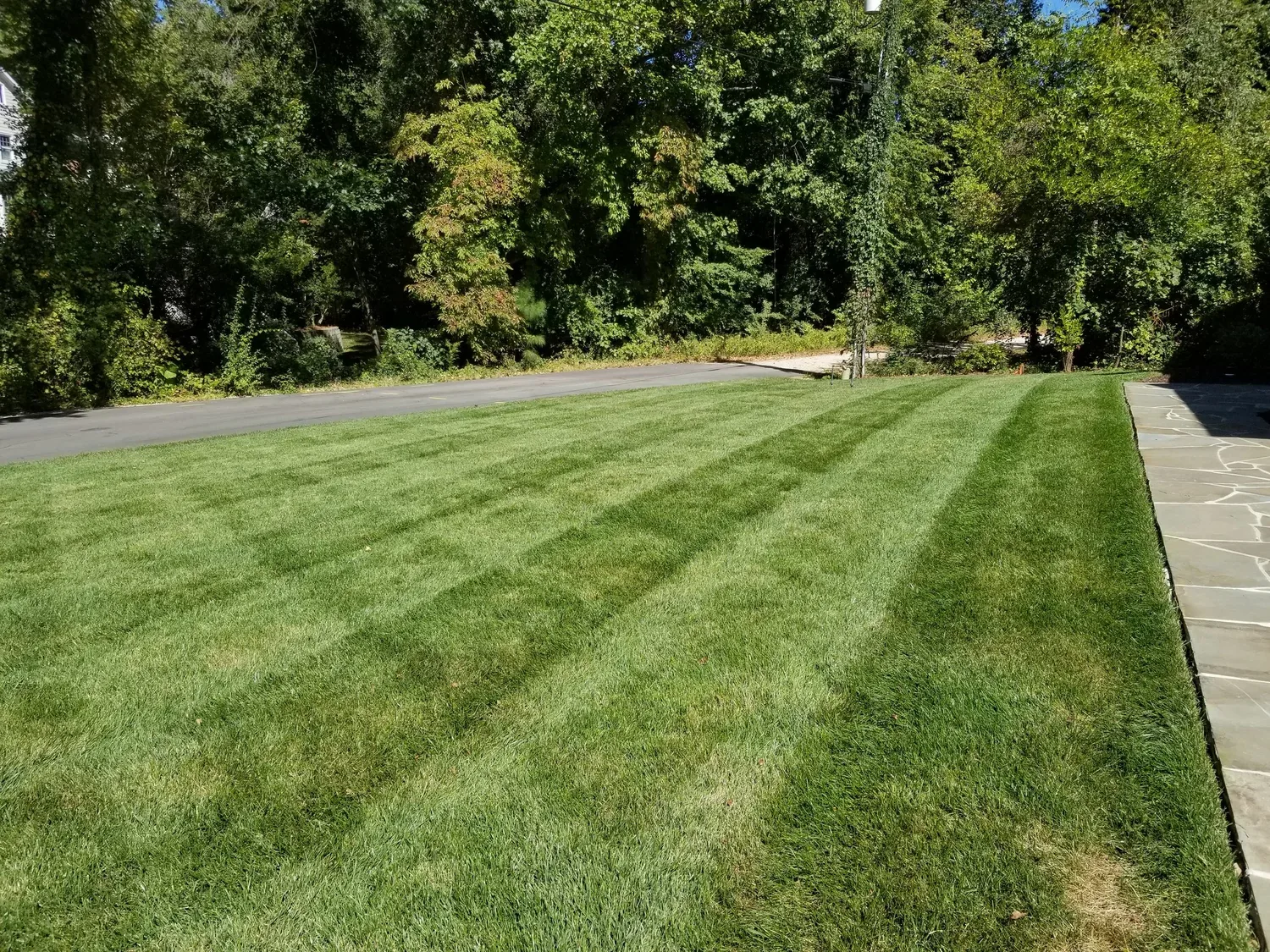 Fresh diagonal mowing stripes beside a clean stone walk
