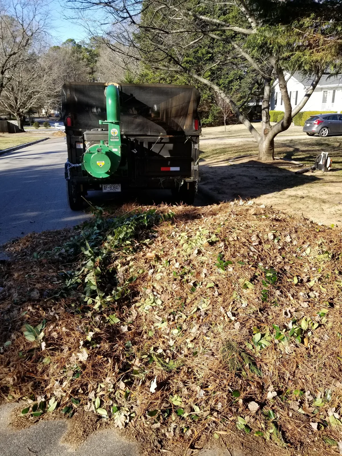 Wake Pro leaf cleanup & removal work
